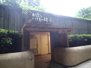 身近ないきもの館再開しました！