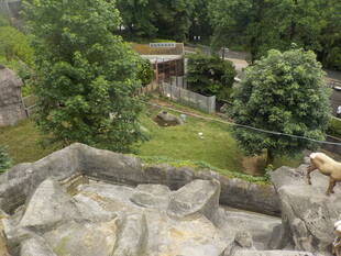 てっぺんからの眺め