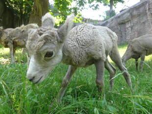 ソラとママの関係