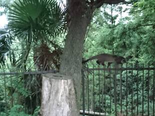 気ままにパトロール？