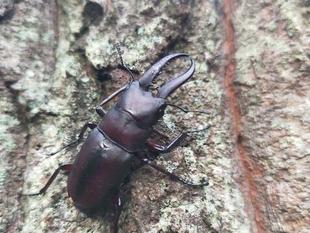 またまた横浜周辺を散策