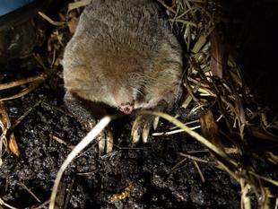 友の会でできなかった企画