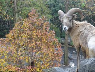 ベストシーズン