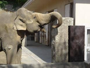 「エンリッチメント大賞2020