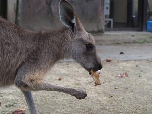 最近のお気に入り