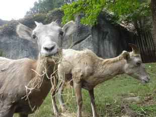 好みはそれぞれ