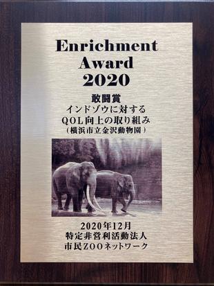 「エンリッチメント大賞2020