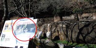 動物たちのなかよし写真展