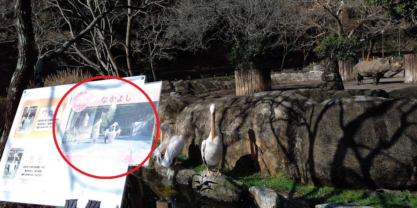 動物たちのなかよし写真展の写真
