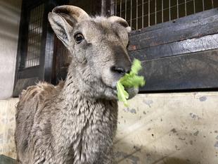 たくさん食べるきみが好き