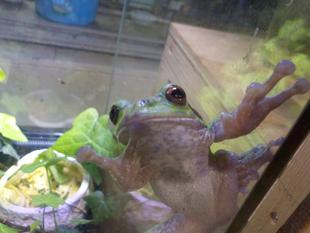 ピタッと張り付く足のヒミツ