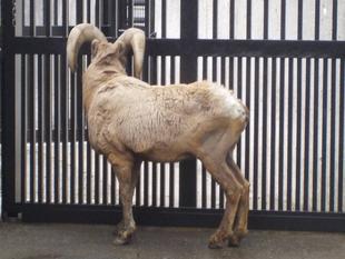 リーダー交代の巻！その2