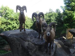 リーダー交代の巻！