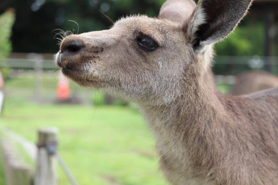 ウォークスルーでのお願いの写真