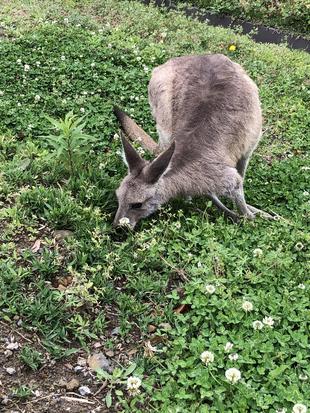 GW明けはのんびり