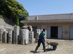 夏へ向けての大仕事