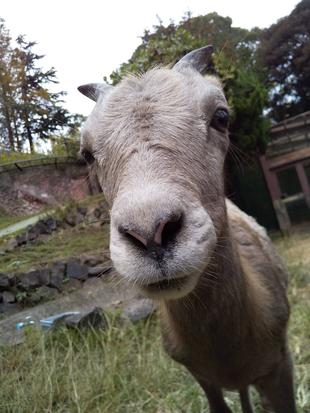 甘えん坊タイヨウ、1才になる!