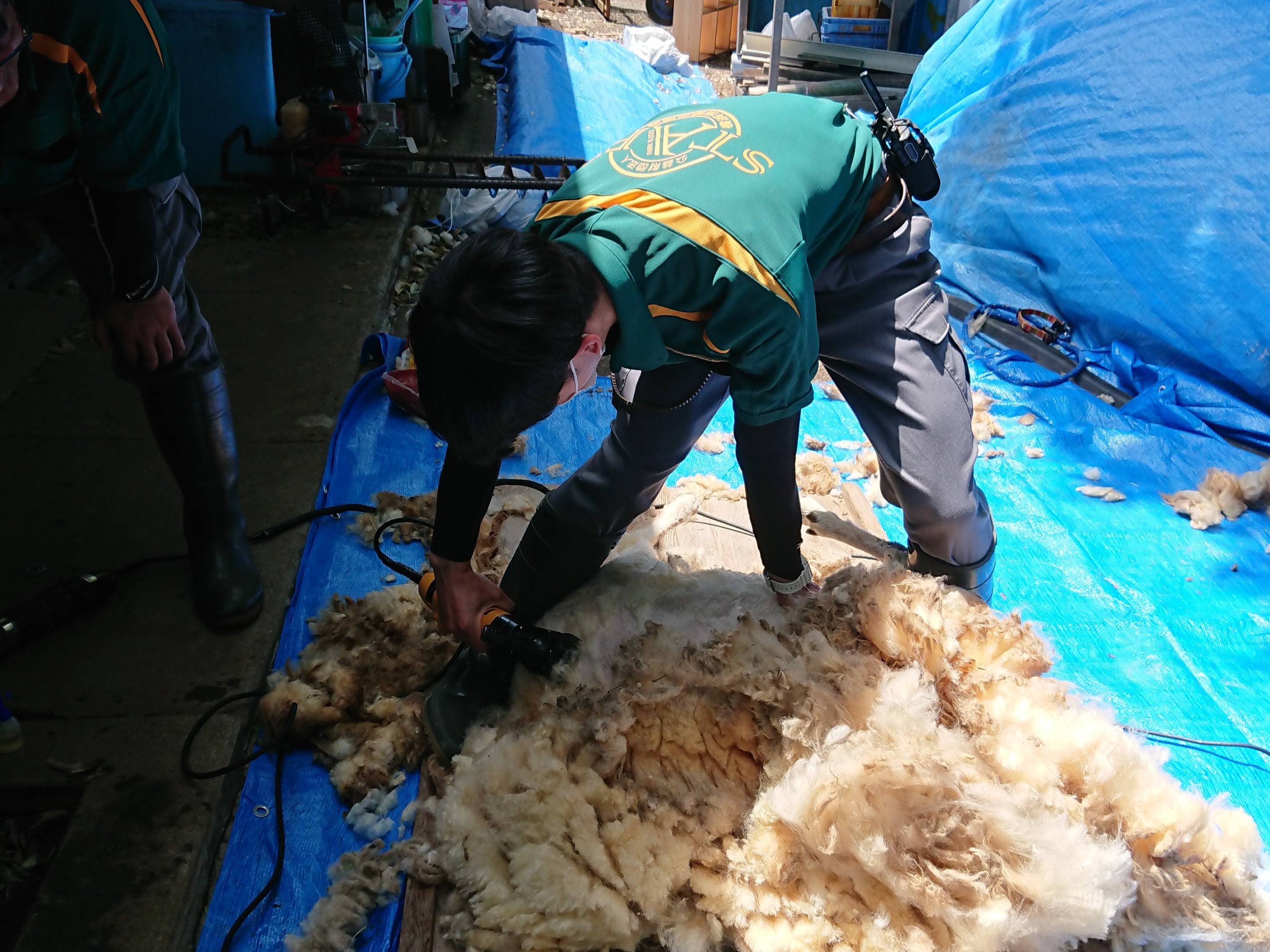 毎年恒例行事~今年も暑くなる前にスッキリ~の写真