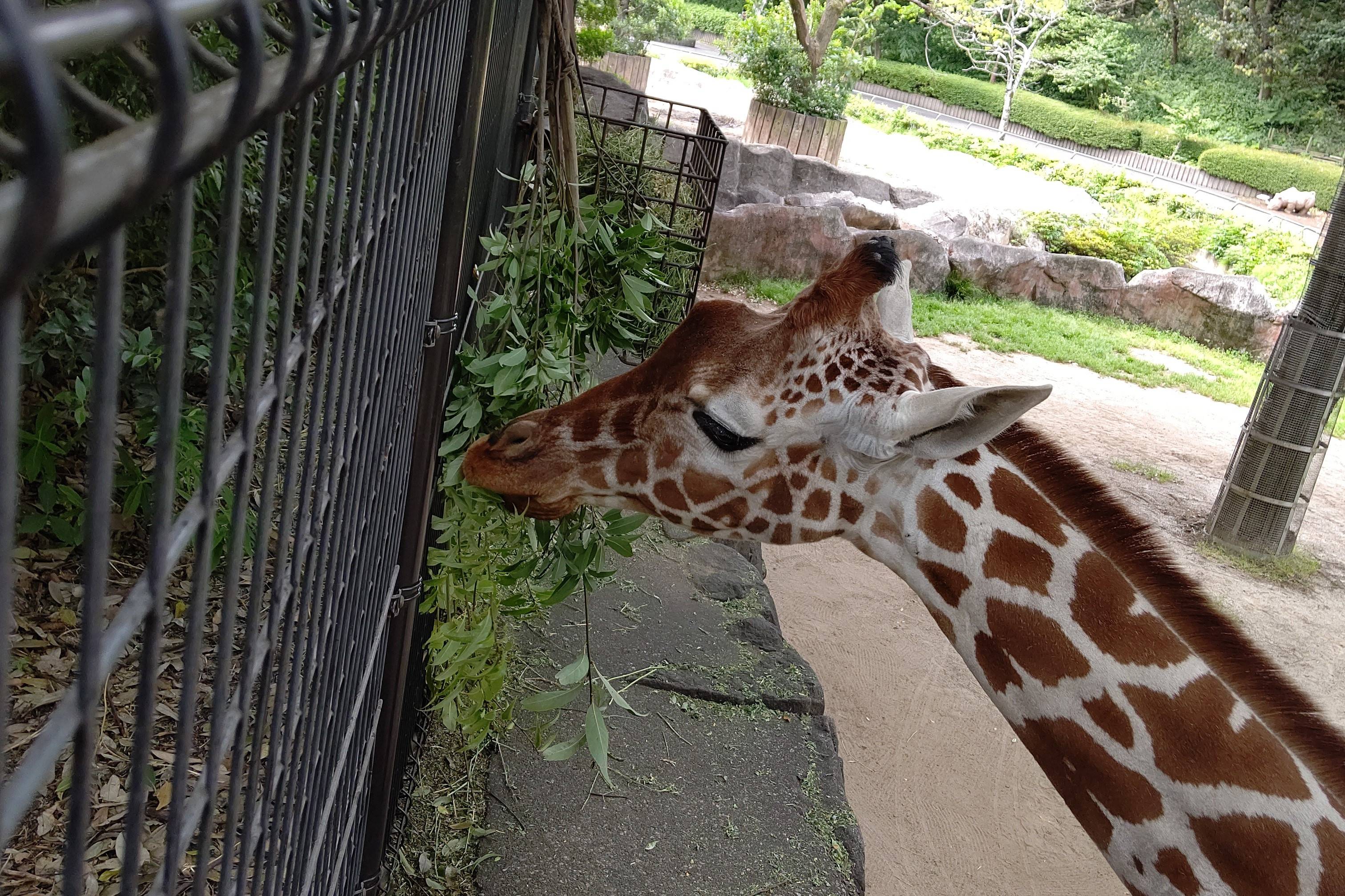 寄り道の写真