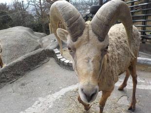 新体制になったけれど・・・。