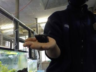 名前は知っているけれど・・・。