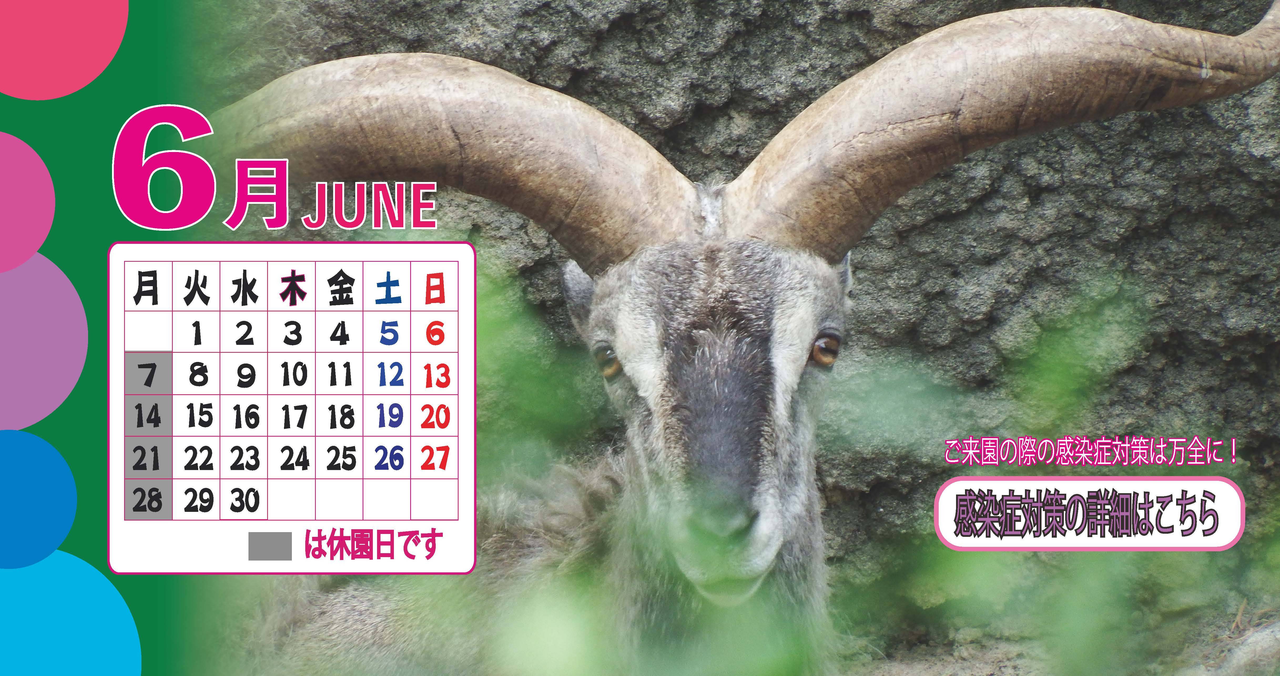 金沢動物園公式サイト 公益財団法人 横浜市緑の協会