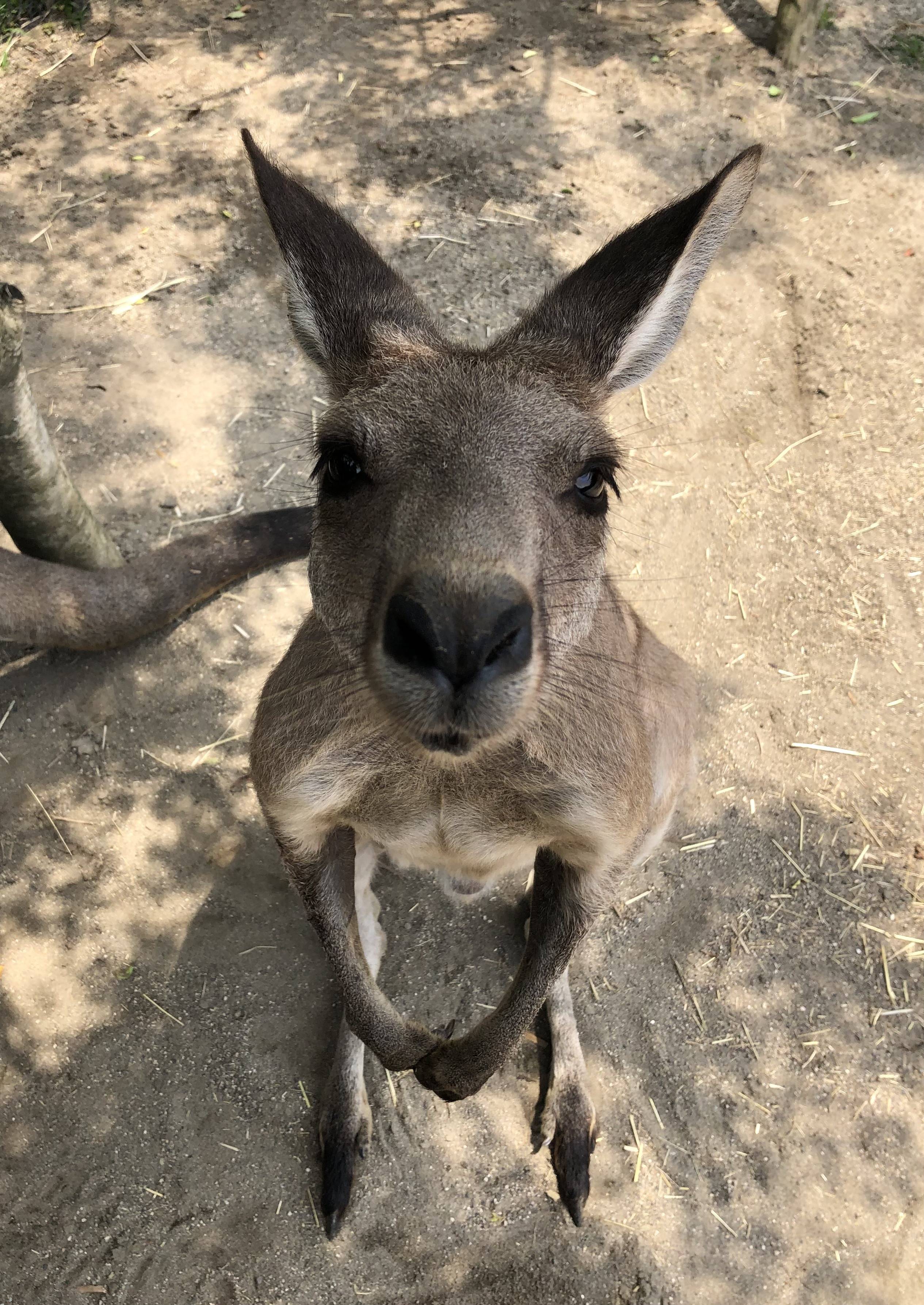 今年も夏の風物詩の写真