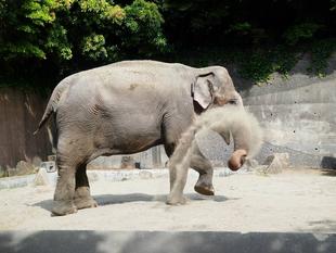 たまには砂の話でも。