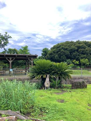 夏季の暑さ対策にともなう、おしらせ