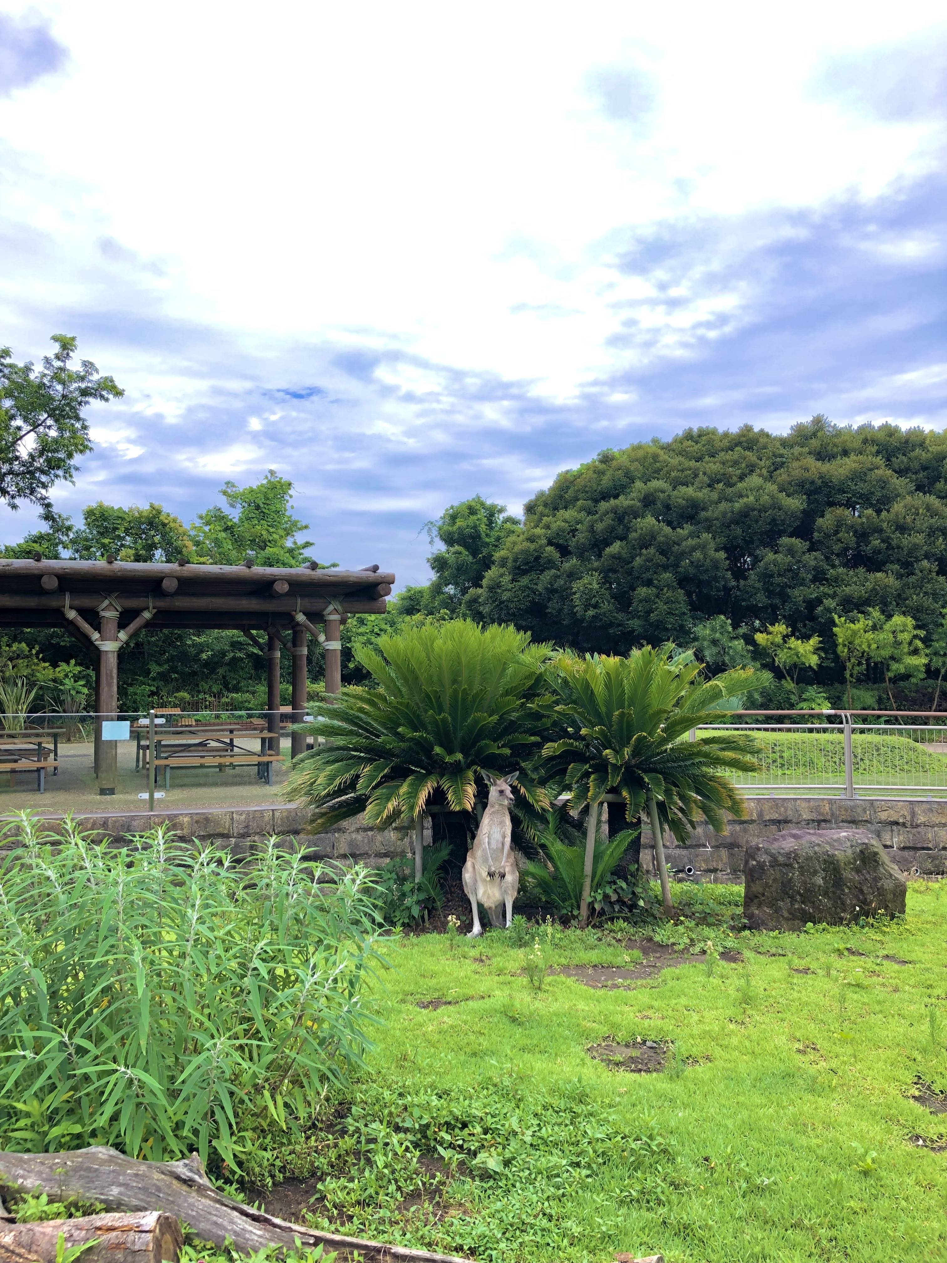 夏季の暑さ対策にともなう、おしらせの写真