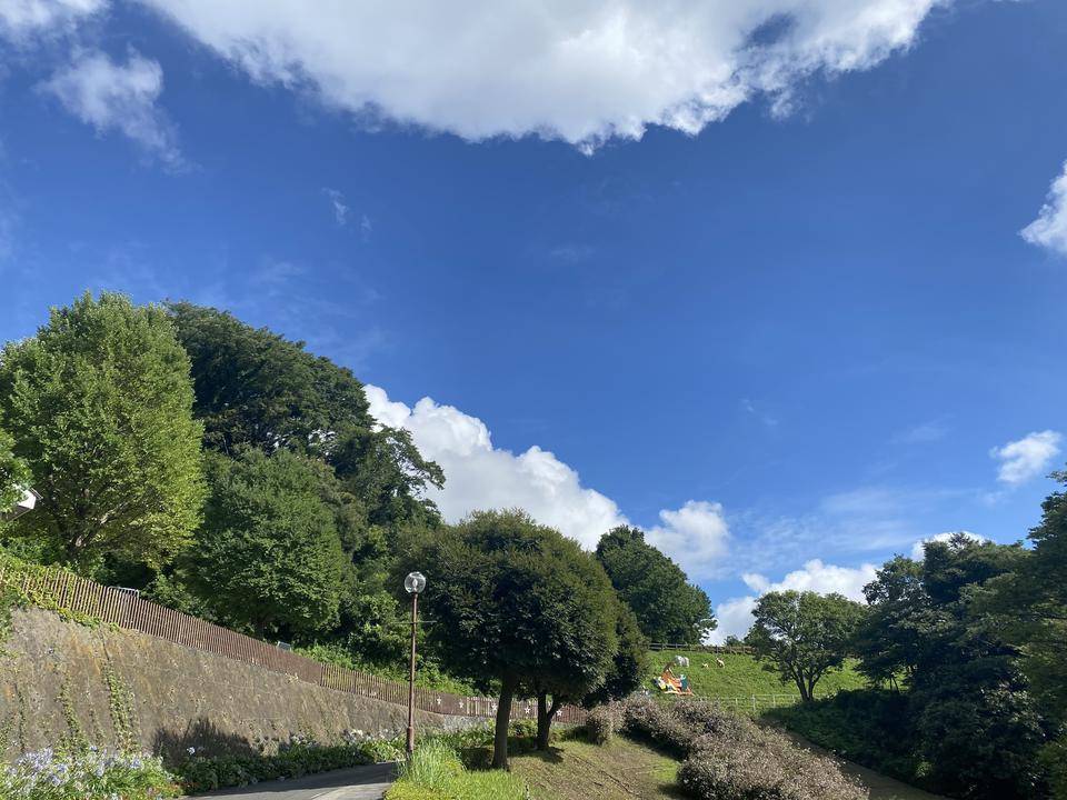 夏休みのはじまりの写真