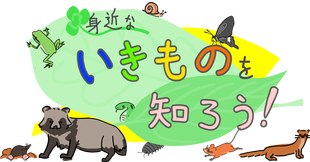 「身近ないきものを知ろう！」が始まります