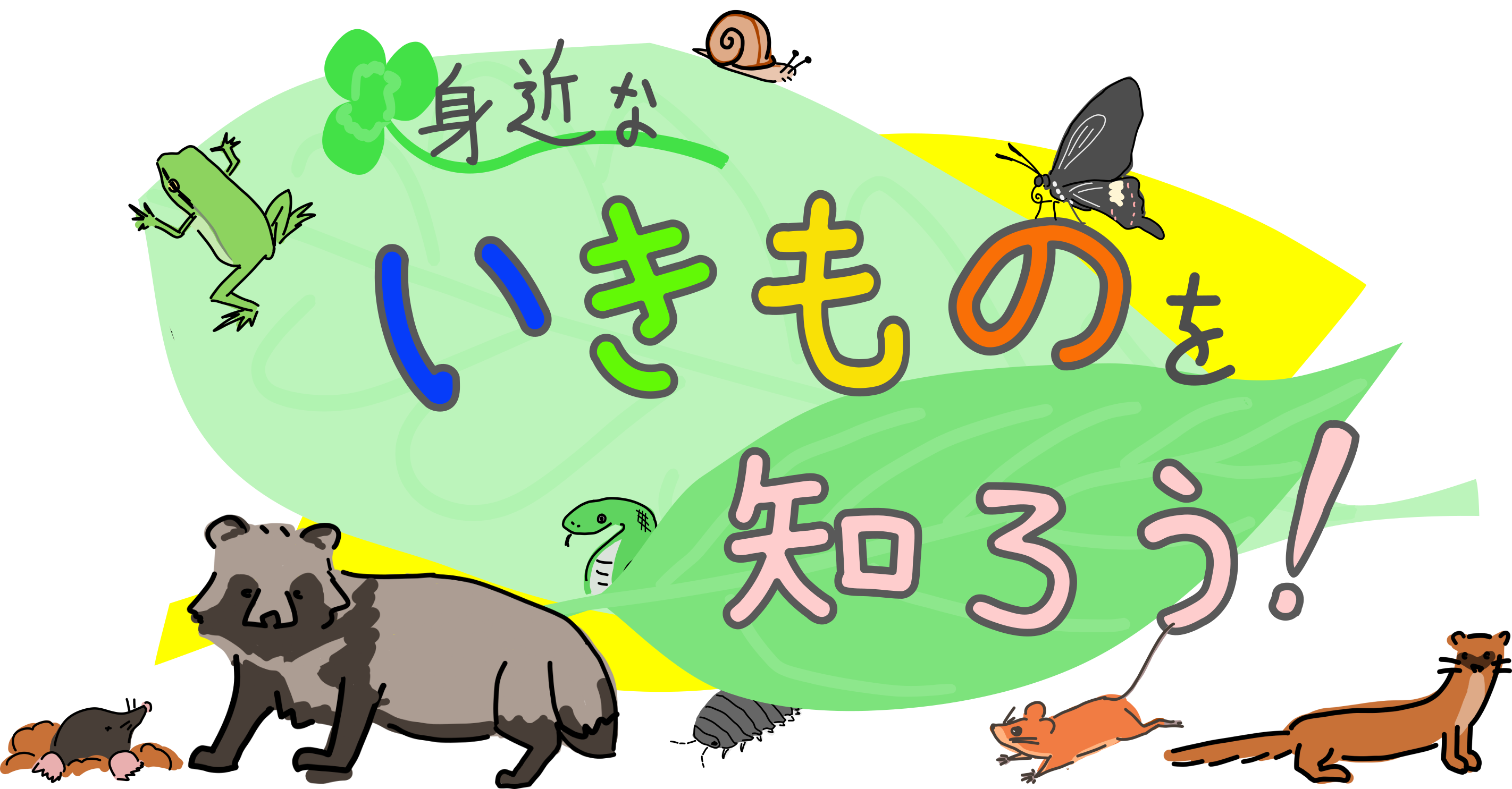 「身近ないきものを知ろう!」が始まりますの写真