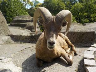 今年の夏は、これで大丈夫！と思いきや・・・。