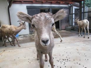 大きくな～れ！強くな～れ！