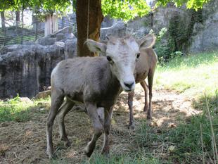 ある日の休園日の朝