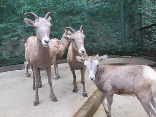 母であり、娘でもあります