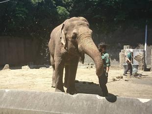 ヨーコさんの健康診断