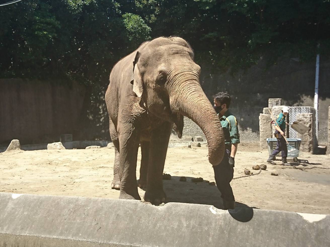ヨーコさんの健康診断の写真