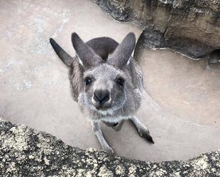 動物を見るときはそーっと静かに...