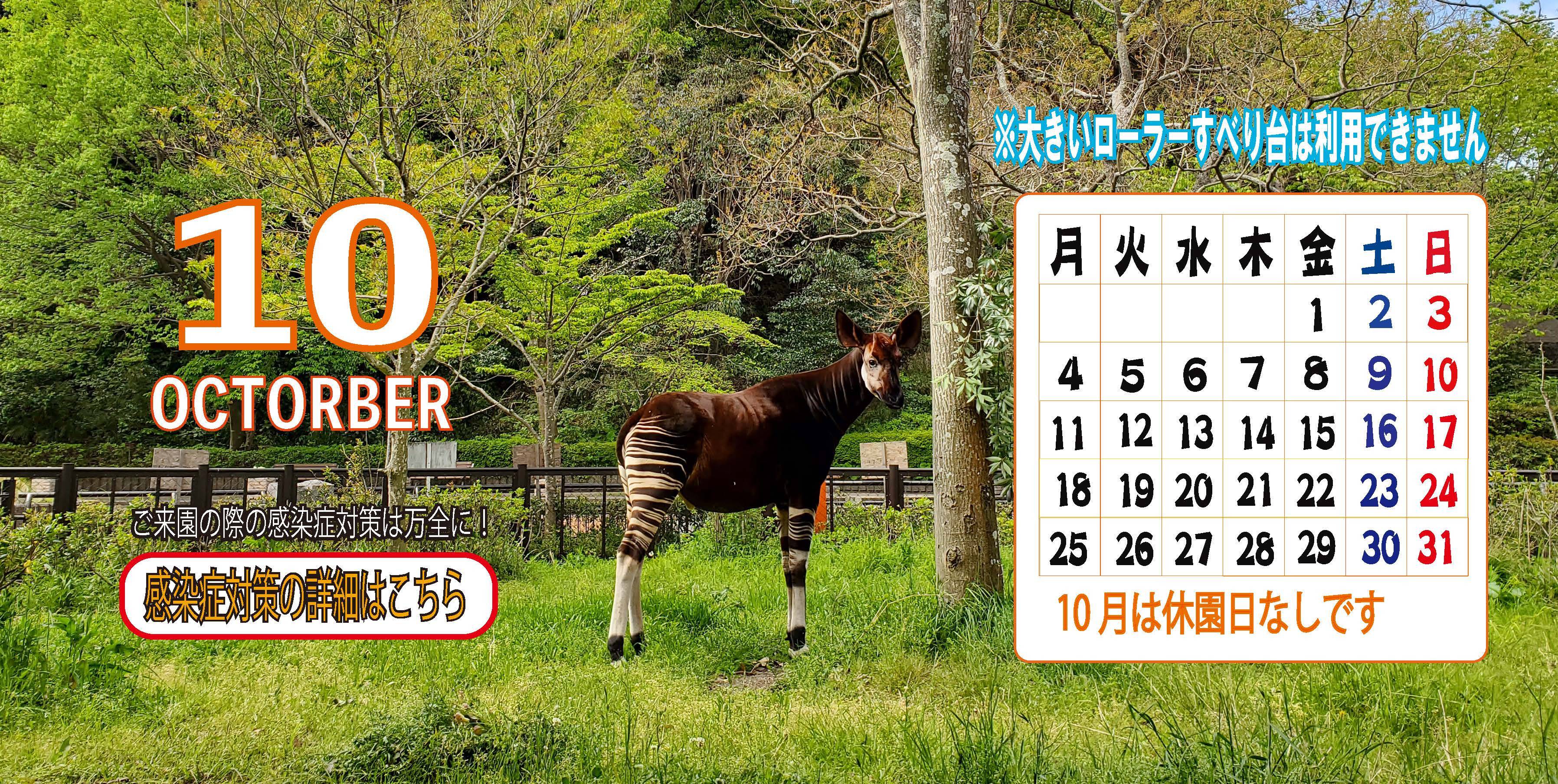 金沢動物園公式サイト 公益財団法人 横浜市緑の協会 金沢動物園公式サイト 公益財団法人 横浜市緑の協会