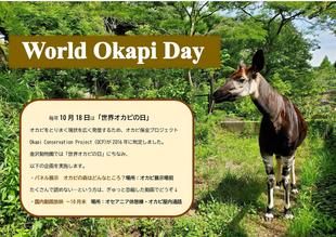 オカピと私たちのつながり~世界オカピの日にちなんで~