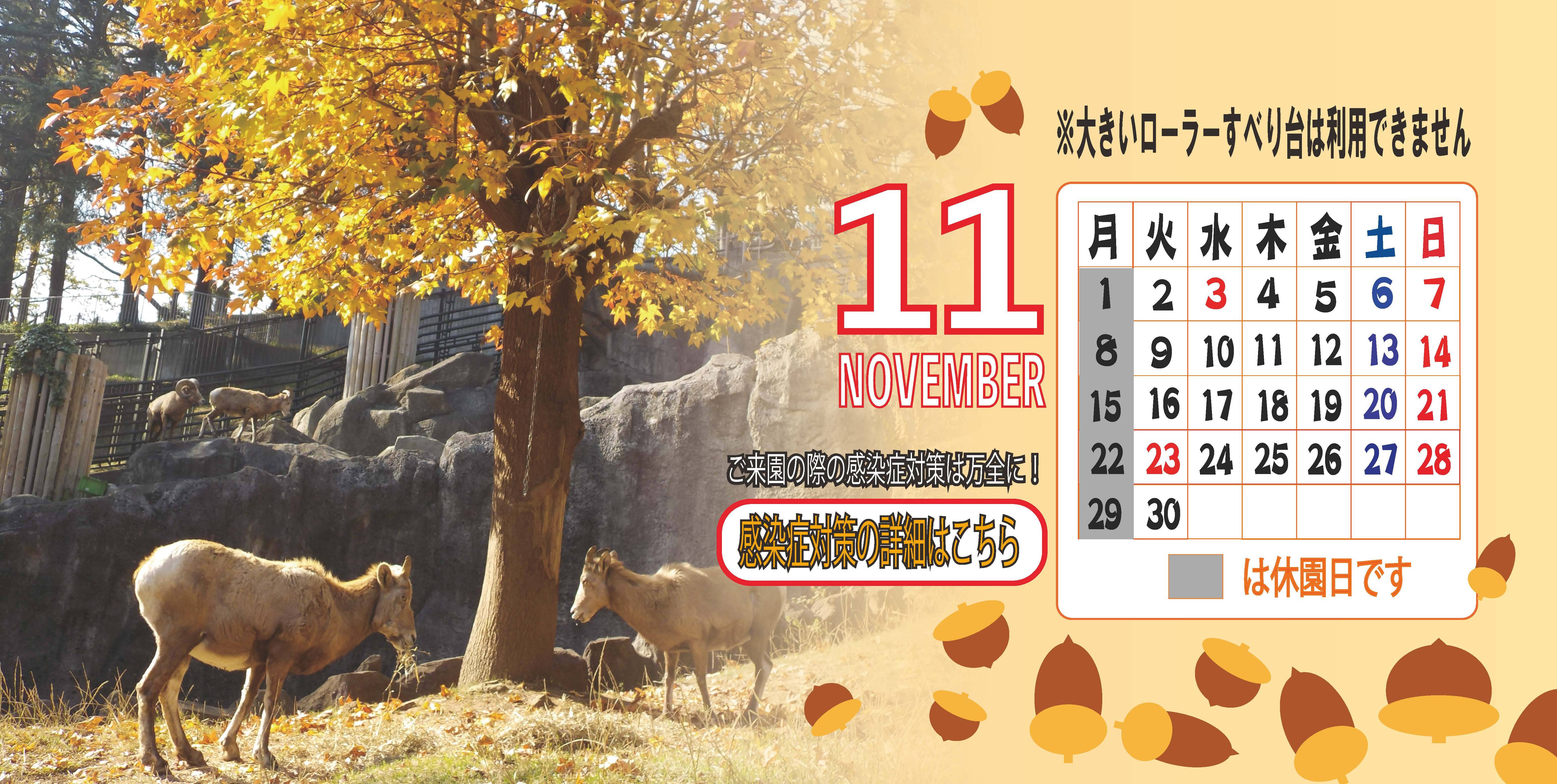 金沢動物園公式サイト 公益財団法人 横浜市緑の協会