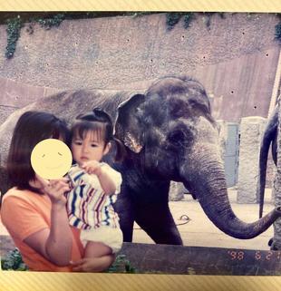 【思い出の金沢動物園6】私と金沢動物園