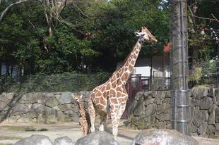 練習を始めました!