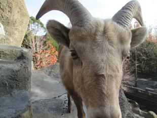 タイヨウ、強い子にな～れ！