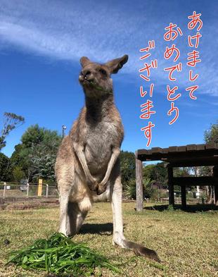 今年もよろしくお願いいたします