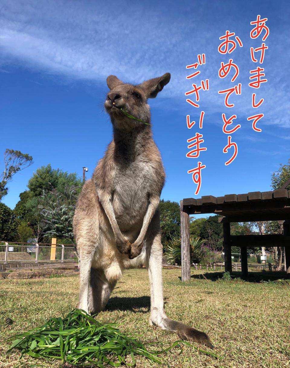 今年もよろしくお願いいたしますの写真