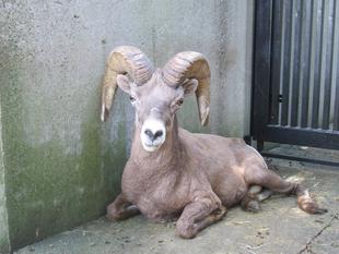 似ているけれど、違います