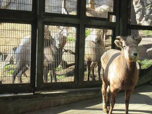 離れていても、わかるのかな？